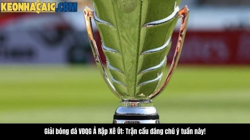 giai-bong-da-vo-dich-quoc-gia-a-rap-xe-ut