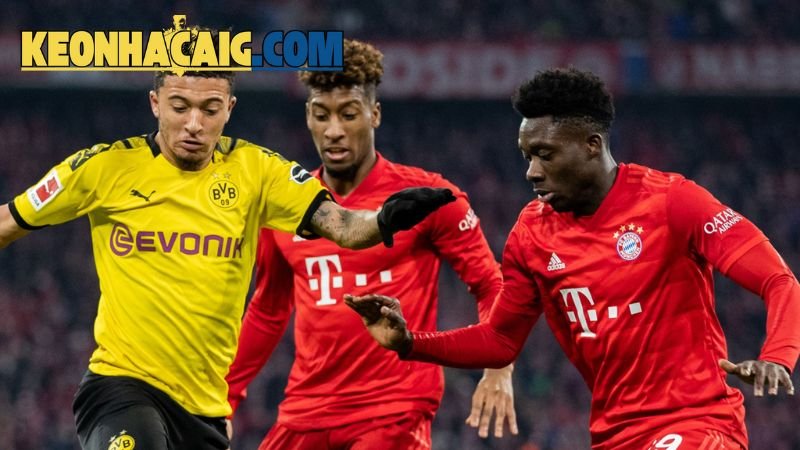 Kèo Bóng Đá BundesLiga - Cơ Hội Cho Người Đam Mê Thể Thao 3 nhung-loai-keo-thong-dung-trong-bundesliga