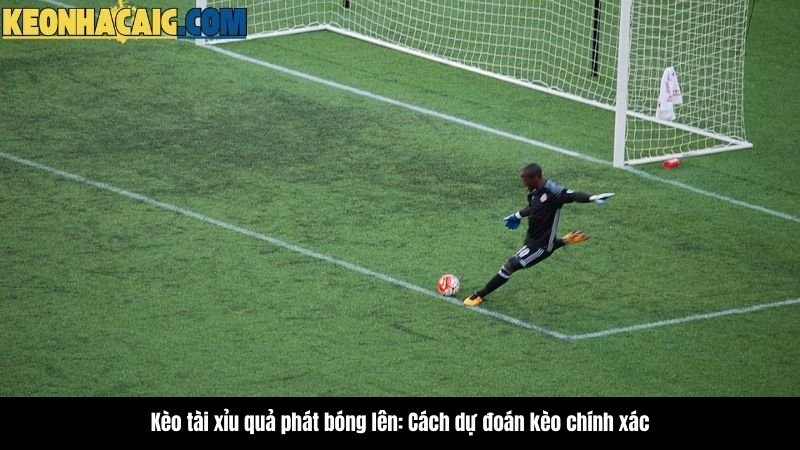 keo-tai-xiu-qua-phat-bong-len