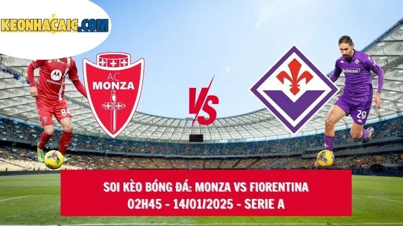Kèo Serie A - Bước Đột Phá Thú Vị Trong Thế Giới Bóng Đá 3 tinh-hoa-trong-ca-cuoc